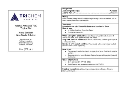 74664-004-02 - Ethanol Hand Sanitizer  Gel 8 oz bottle